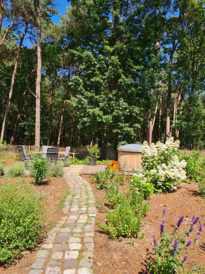 Vakantiehuis Met Hottub En Barrelsauna Ommen Bagian luar foto